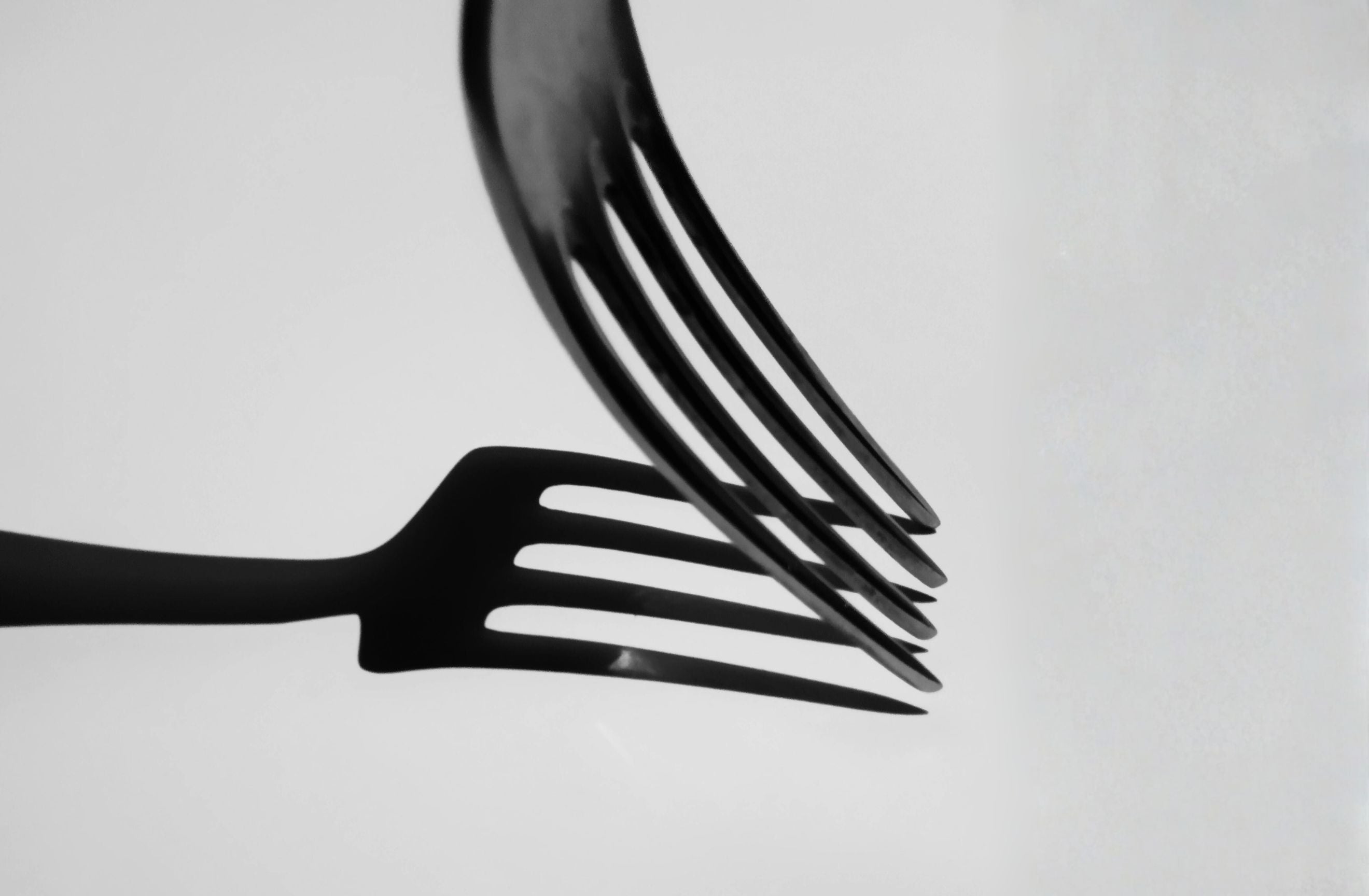 Fork with shadow